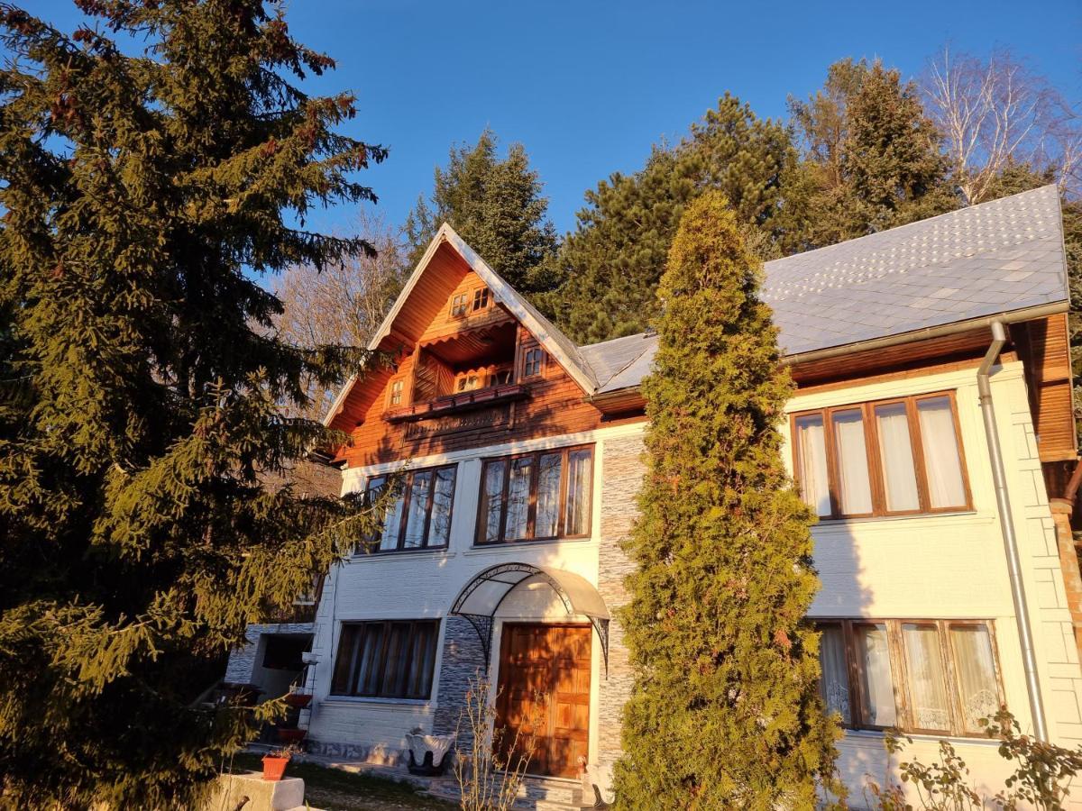 Pensiunea Paradis Borobanesti Kültér fotó