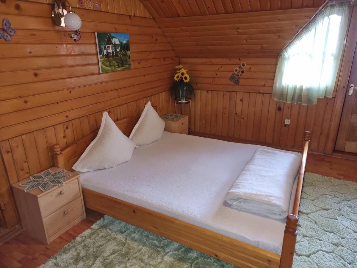 Pensiunea Paradis Borobanesti Kültér fotó