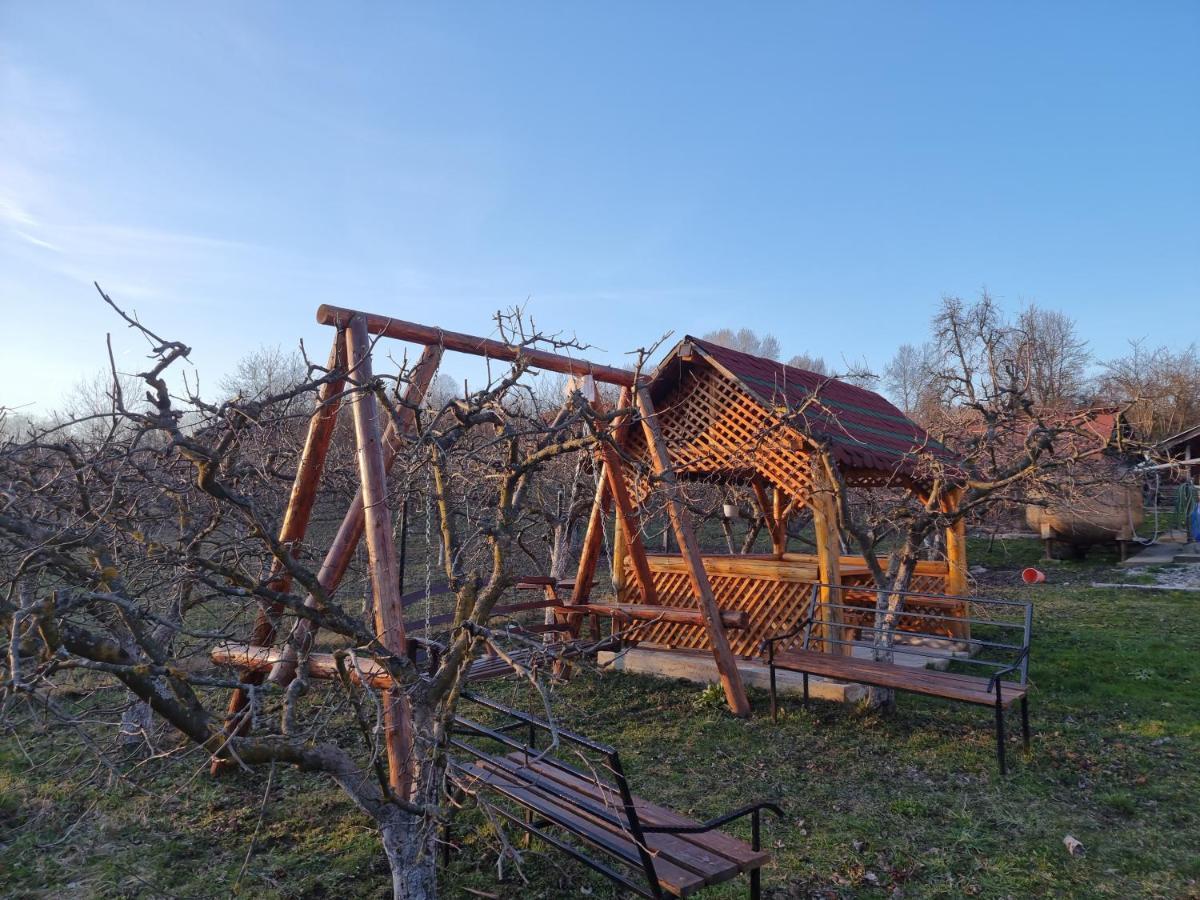 Pensiunea Paradis Borobanesti Kültér fotó