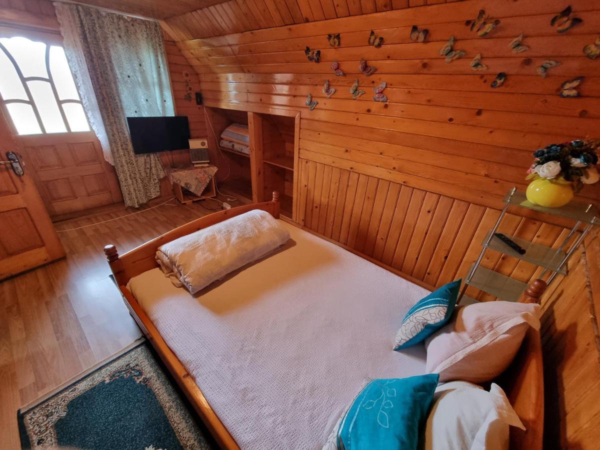 Pensiunea Paradis Borobanesti Kültér fotó