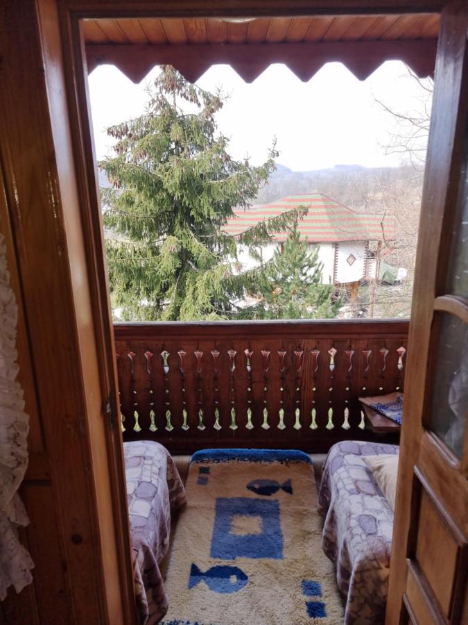 Pensiunea Paradis Borobanesti Kültér fotó