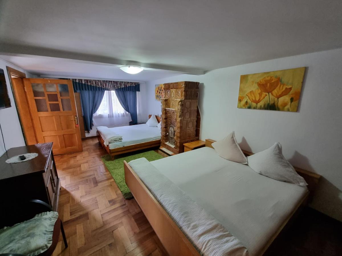 Pensiunea Paradis Borobanesti Kültér fotó